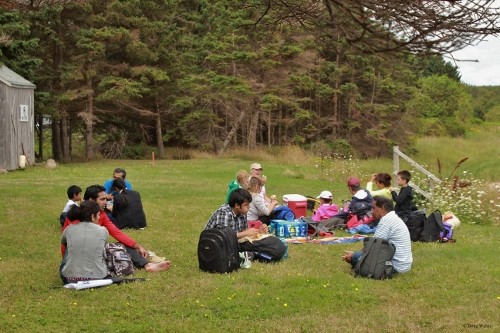 img 9222   copy  500x333 