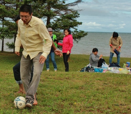 img 9253   copy  500x435 